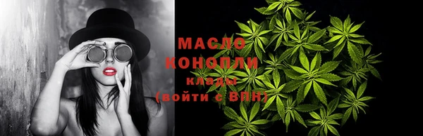 тгк Вяземский