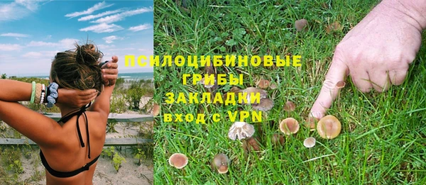 тгк Вяземский