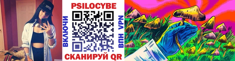 Галлюциногенные грибы GOLDEN TEACHER  даркнет сайт  кракен ССЫЛКА  Дорогобуж 